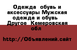 Одежда, обувь и аксессуары Мужская одежда и обувь - Другое. Кемеровская обл.